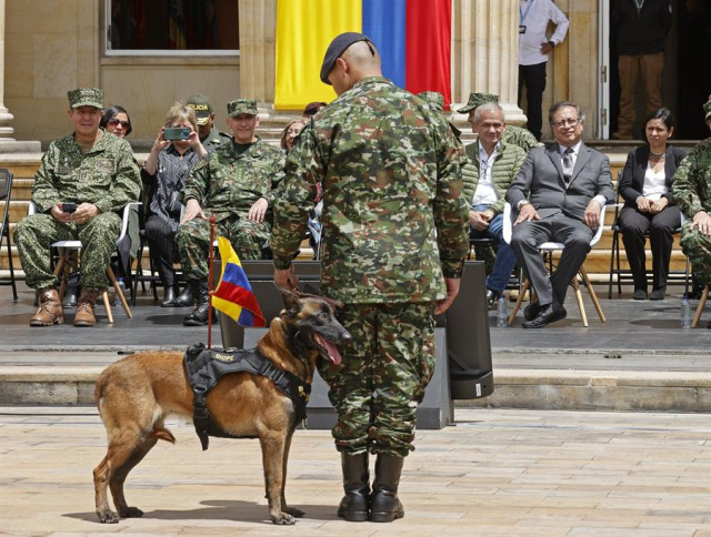 Colombia condecora a Drugia, madre del perro Wilson que se perdio en busqueda de menores