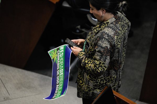 fotos de congresistas por caia de uso recreativos