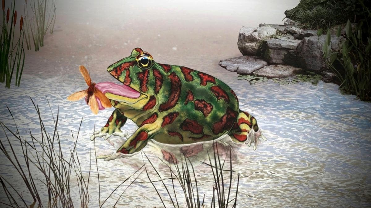 SAN PEDRO: Un paleontologo argentino descubrio el craneo de un anfibio que vivio hace 100.000 años - este medio