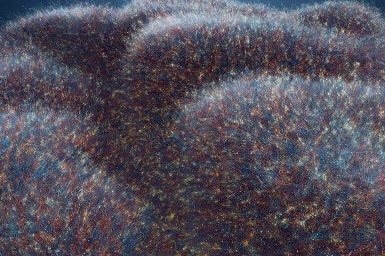 Que es el Proyecto Cerebro Humano, que lleva adelante la UE y recrea la mente en una computadora - este medio