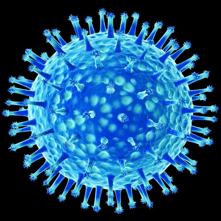 Que riesgo implica para las personas los brotes de gripe aviar en la costa atlantica de Argentina - este medio