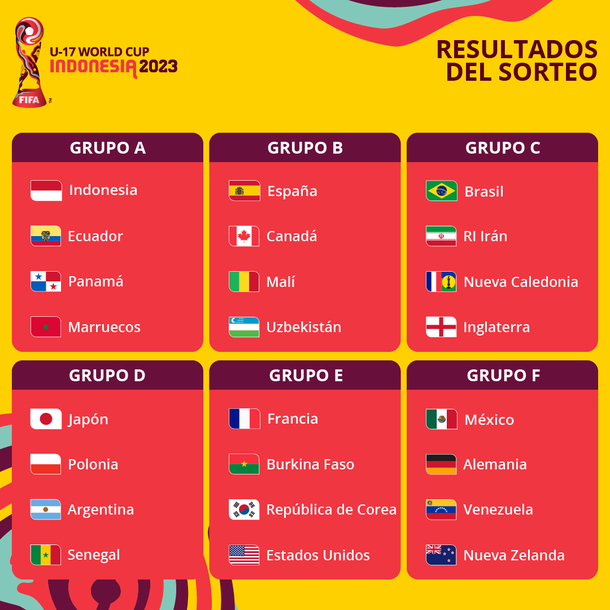 Mundial Sub-17: asi quedo conformado el grupo de la Seleccion Argentina