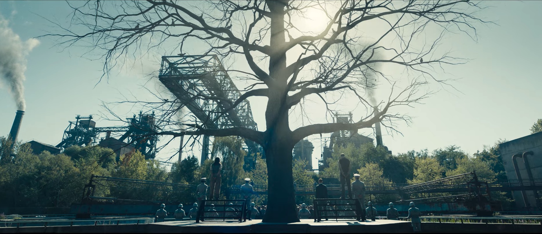 Balada de Pajaros Cantores y Serpientes nos dara una nueva mirada de lo que son los Juegos del Hambre > Cultura Geek %