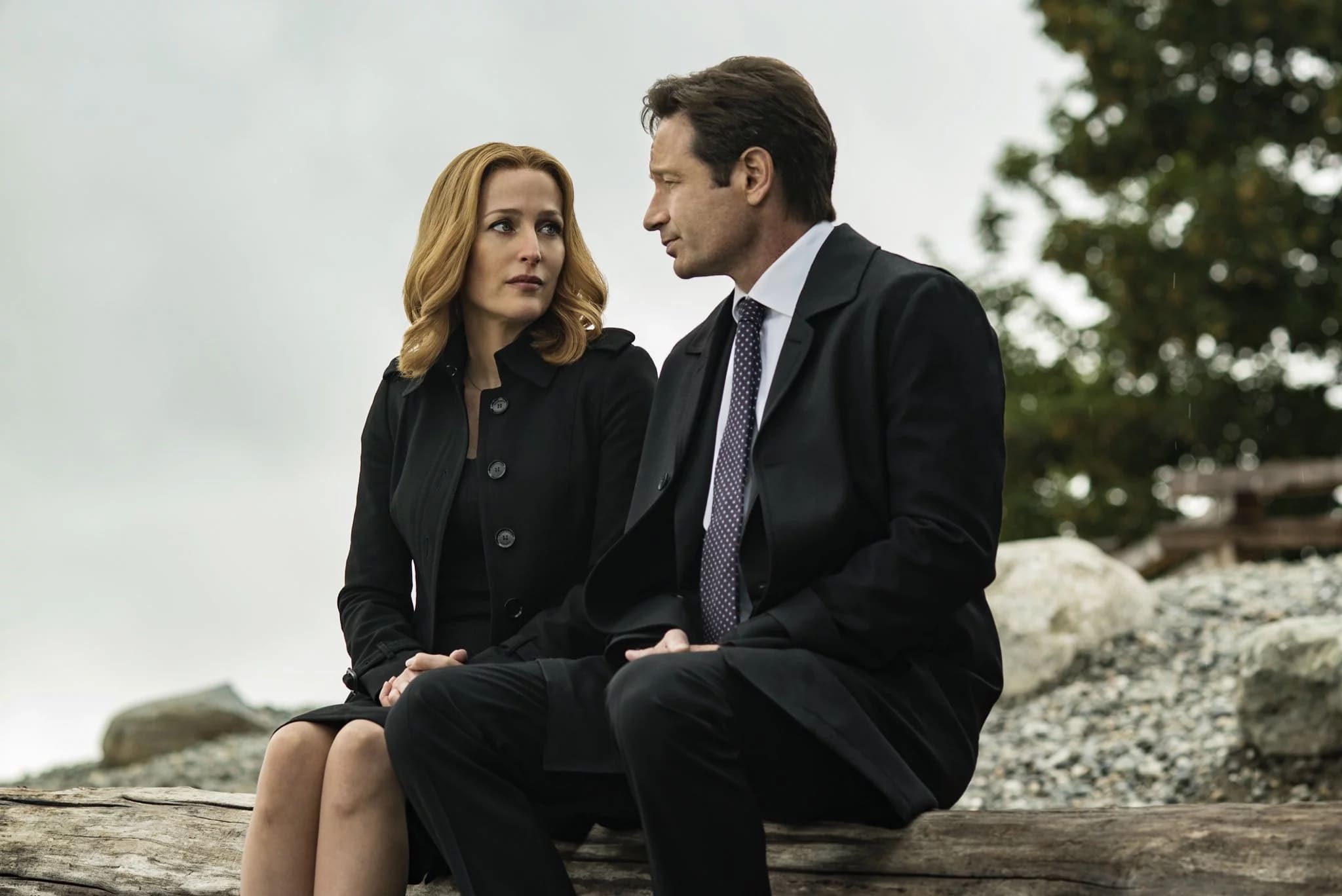 Mulder X-Files