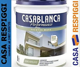 Posadas Misiones: Anuncian que “con mas empresas, el puerto se prepara para operar con la terminal de Zarate” - este medio