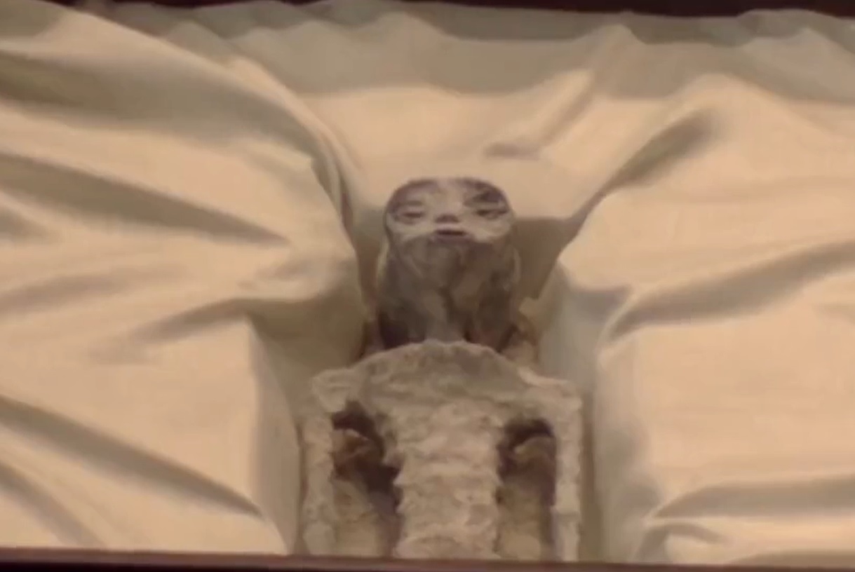 Una de las momias presentadas por Maussan.