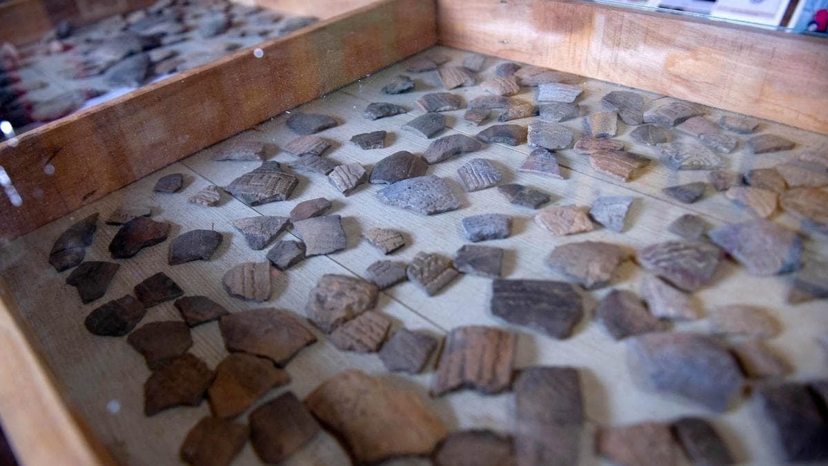 Por primera vez, dos comunidades bonaerenses son reconocidas como “multietnicas” - este medio