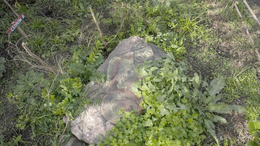 Por primera vez, dos comunidades bonaerenses son reconocidas como “multietnicas” - este medio