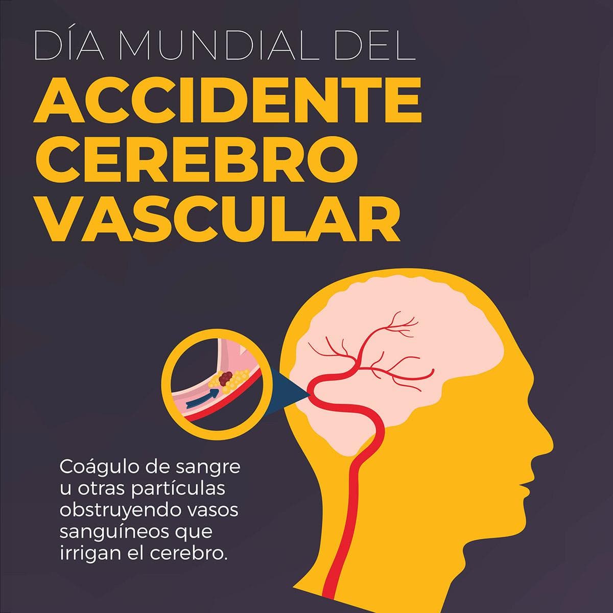 Cientificos argentinos crearon un asistente virtual movil para reconocer sintomas de ACV - este medio