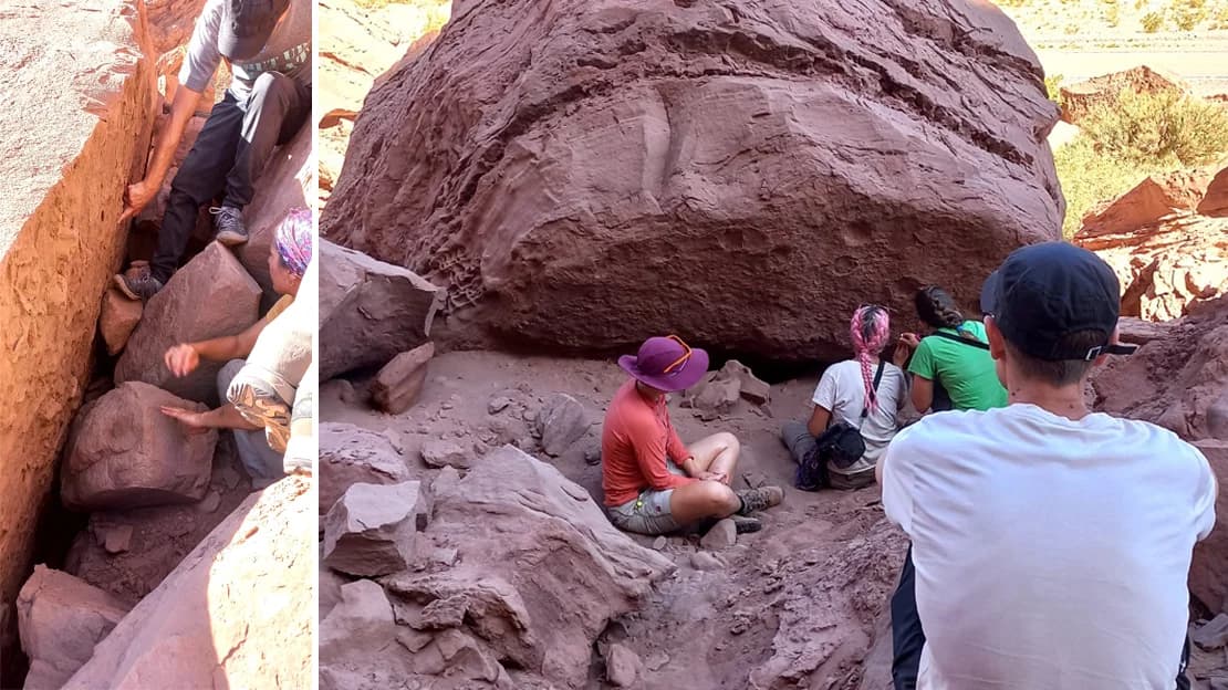 Huellas del pasado: a partir de pisadas prehistoricas, revelan la fauna de hace 15 millones de años - este medio