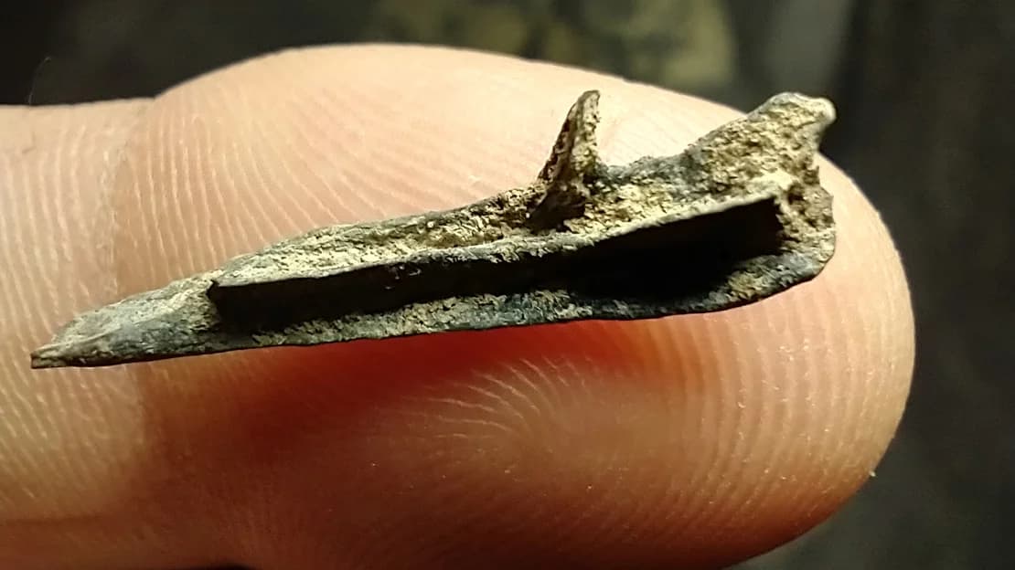 San Pedro y una rica fauna prehistorica: descubren ejemplares fosiles de sapos, ranas y escuerzos - este medio