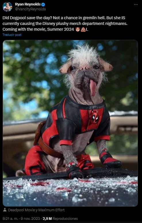 Marvel: el estreno de Deadpool 3 y el de otras tres peliculas del MCU fueron retrasados < Cultura Geek