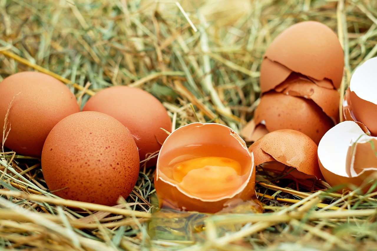 Los huevos nos aportan proteinas, grasas monoinsaturadas, hierro, zinc, fosforo, potasio, calcio, acido folico y vitaminas A, D, E, B3 y B12. Una de sus ventajas es que ofrece numerosas opciones a la hora de cocinarlo, aunque lo mejor es tomarlos hervidos o escalfados.