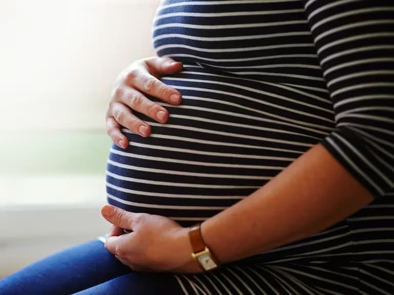 Por que hay una invasion de mosquitos y cuales son los metodos repelentes mas efectivos - este medio