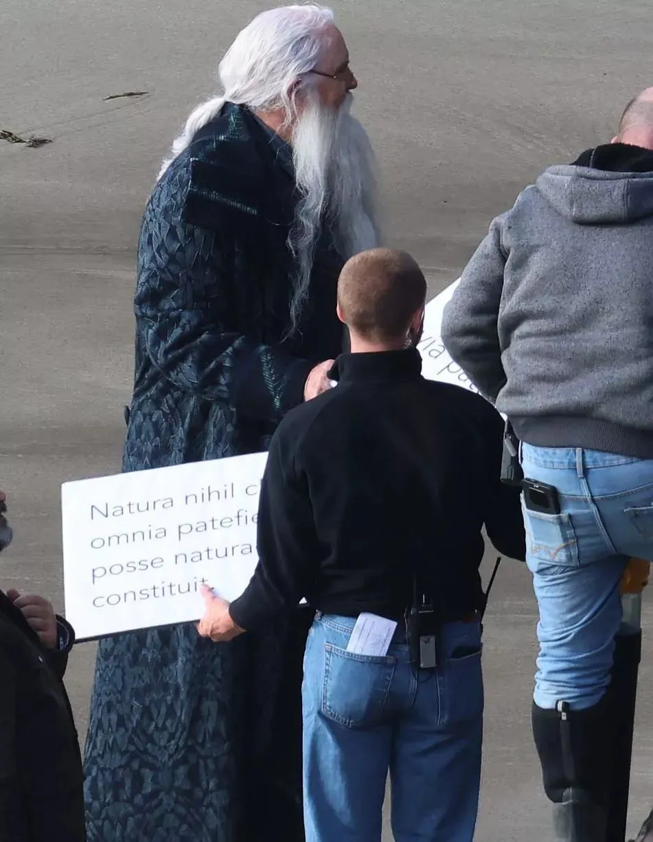 Harry potter dumbledore