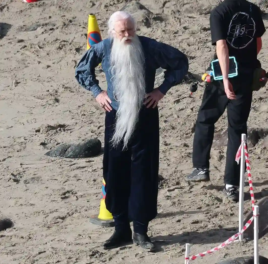 Harry potter dumbledore