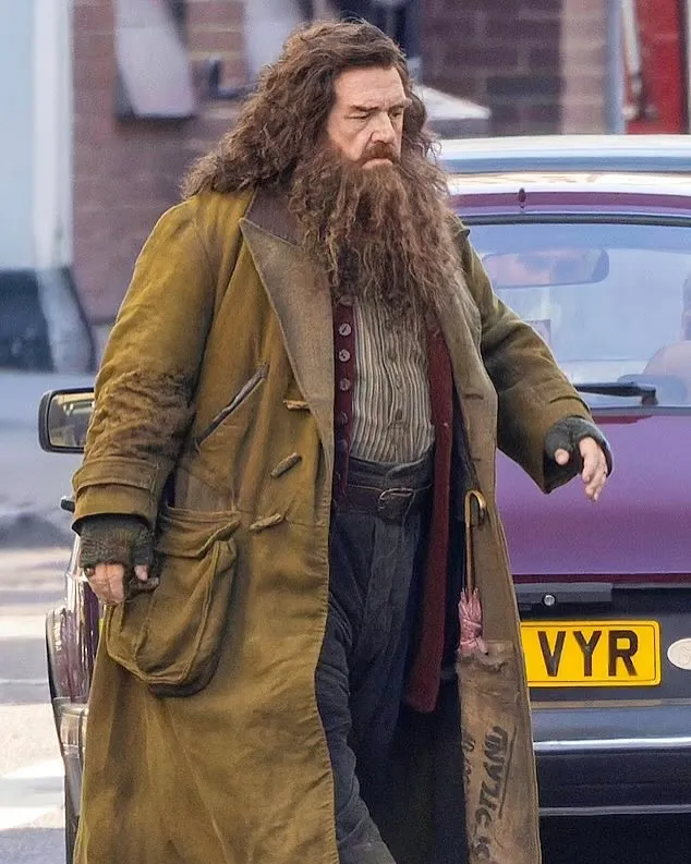 Harry potter dumbledore